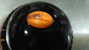 Mousse de chocolate ariaga 59% con mini haba de cacao